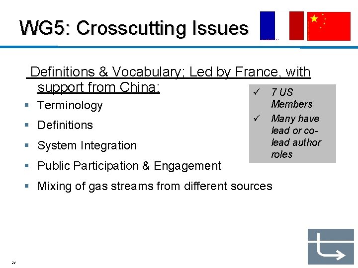 WG 5: Crosscutting Issues Definitions & Vocabulary; Led by France, with support from China:
