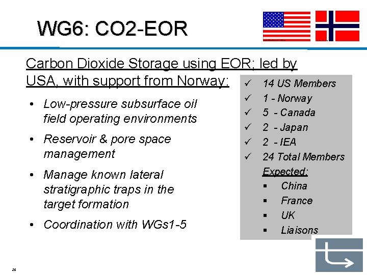 WG 6: CO 2 -EOR Carbon Dioxide Storage using EOR; led by USA, with