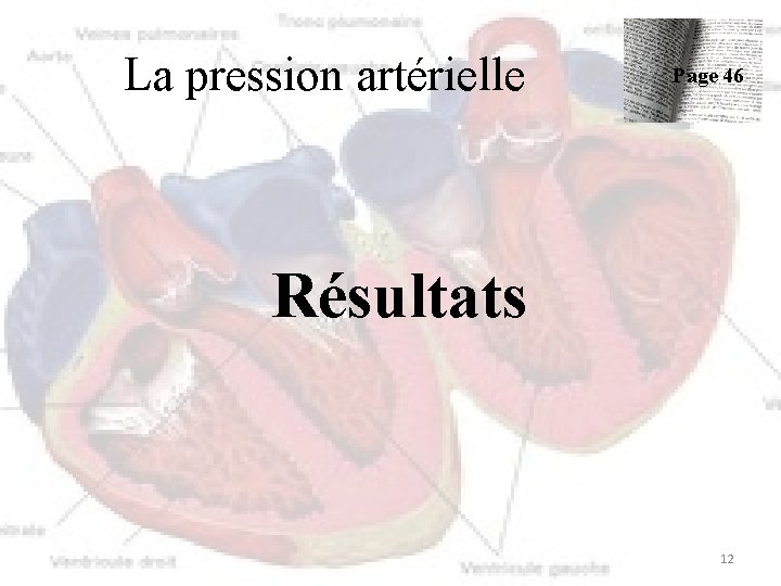 La pression artérielle Page 46 Résultats 12 