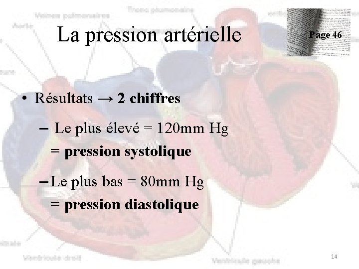 La pression artérielle Page 46 • Résultats → 2 chiffres – Le plus élevé