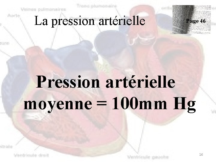 La pression artérielle Page 46 Pression artérielle moyenne = 100 mm Hg 16 