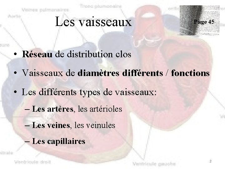 Les vaisseaux Page 45 • Réseau de distribution clos • Vaisseaux de diamètres différents