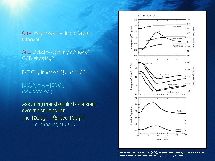 Que: What was the link to faunal turnover? Ans: Debate- warming? Anoxia? CCD shoaling?