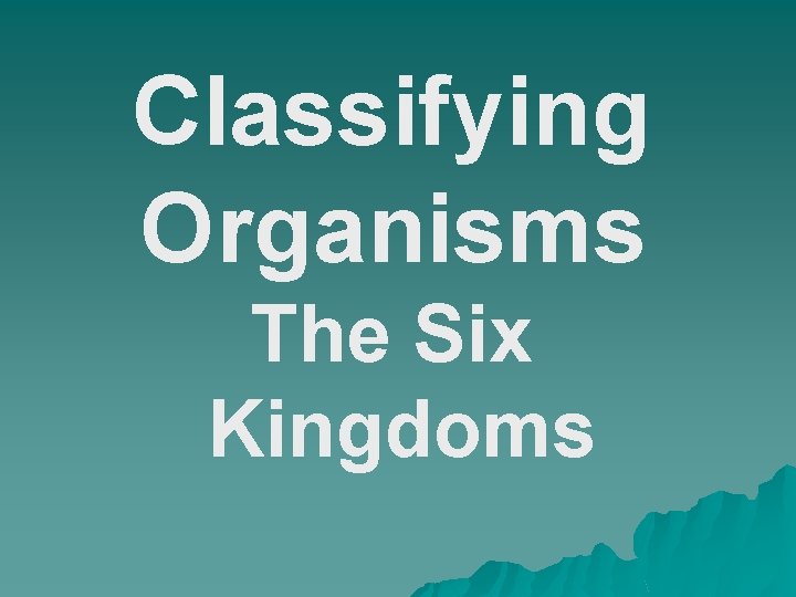 Classifying Organisms The Six Kingdoms 