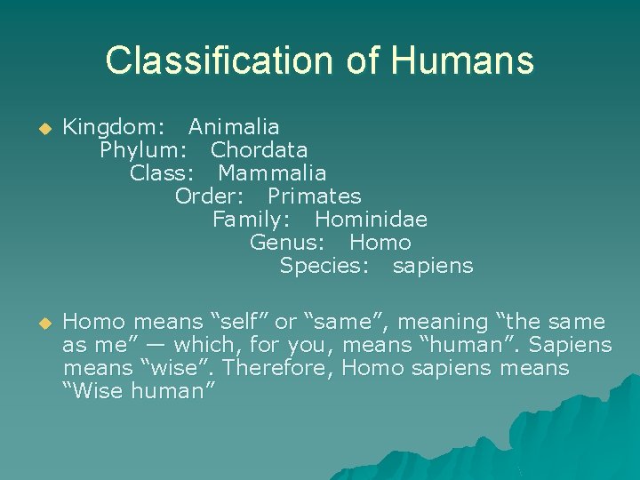 Classification of Humans u Kingdom: Animalia Phylum: Chordata Class: Mammalia Order: Primates Family: Hominidae