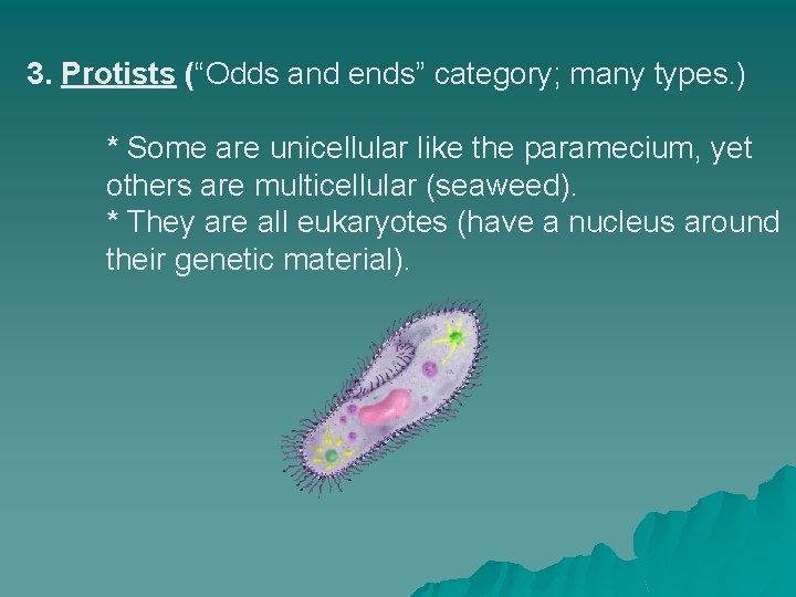 3. Protists (“Odds and ends” category; many types. ) * Some are unicellular like