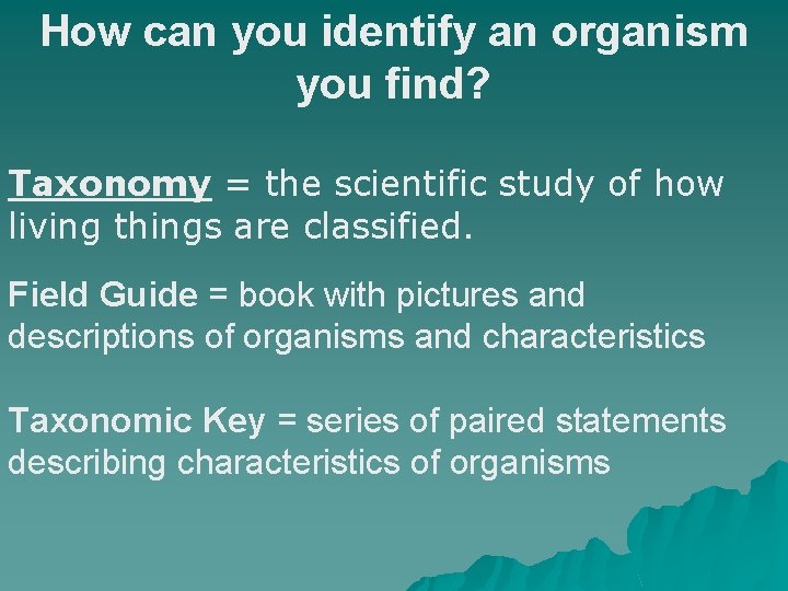How can you identify an organism you find? Taxonomy = the scientific study of