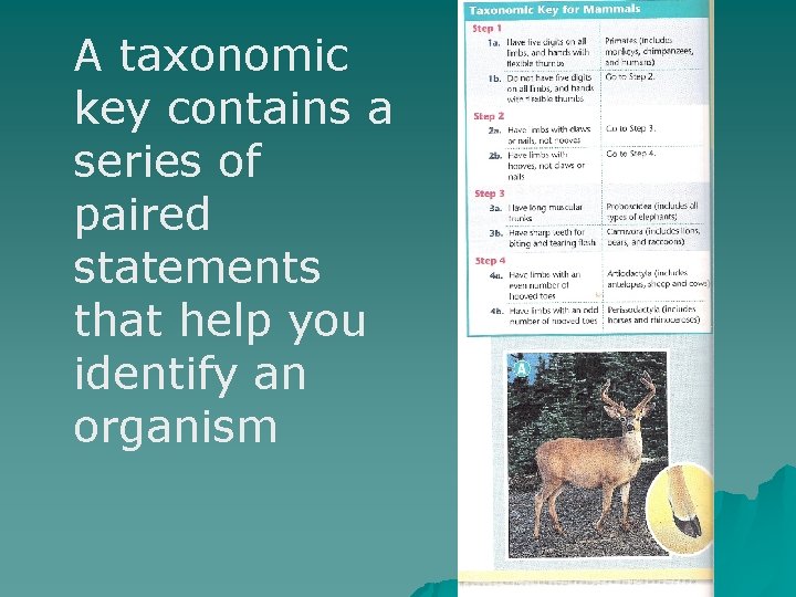 A taxonomic key contains a series of paired statements that help you identify an