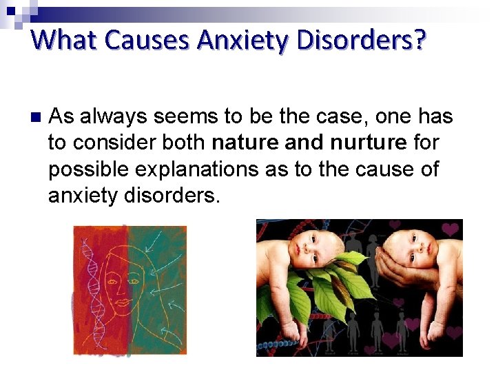 What Causes Anxiety Disorders? n As always seems to be the case, one has