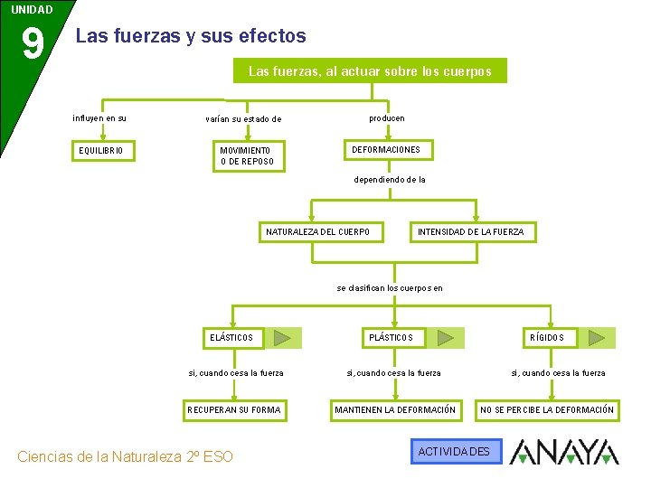 UNIDAD 9 Las fuerzas y sus efectos Las fuerzas, al actuar sobre los cuerpos