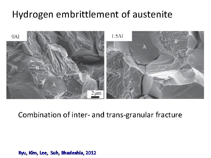 Hydrogen embrittlement of austenite Combination of inter- and trans-granular fracture Ryu, Kim, Lee, Suh,