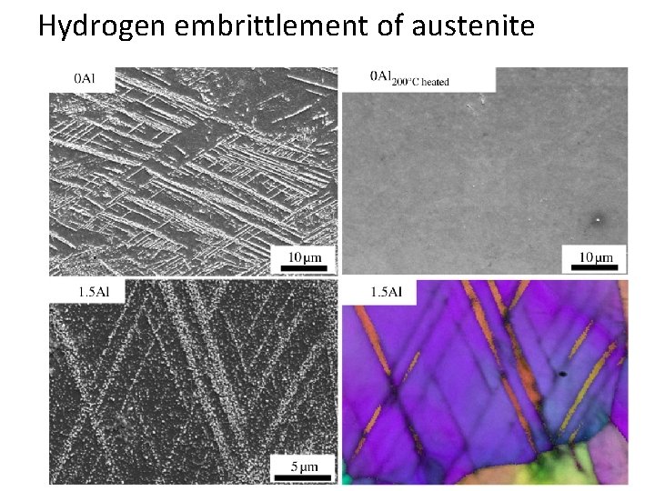 Hydrogen embrittlement of austenite 