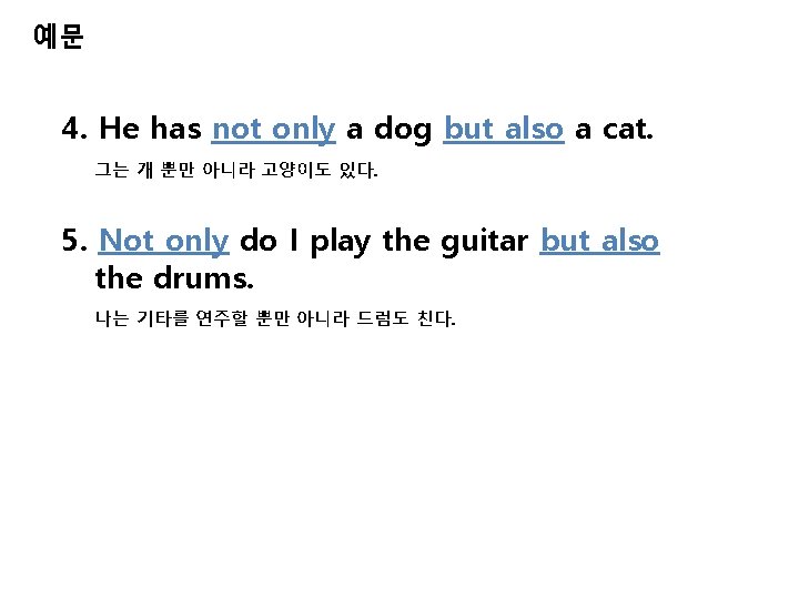 예문 4. He has not only a dog but also a cat. 그는 개