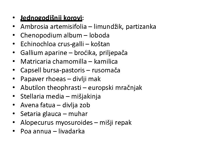  • • • • Jednogodišnji korovi: Ambrosia artemisifolia – limundžik, partizanka Chenopodium album