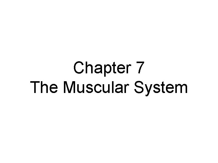 Chapter 7 The Muscular System 
