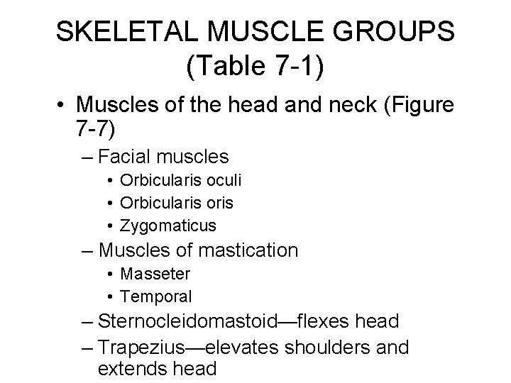 SKELETAL MUSCLE GROUPS (Table 7 -1) • Muscles of the head and neck (Figure