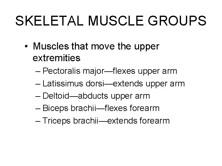 SKELETAL MUSCLE GROUPS • Muscles that move the upper extremities – Pectoralis major—flexes upper