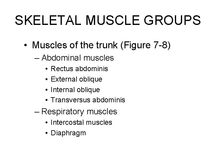 SKELETAL MUSCLE GROUPS • Muscles of the trunk (Figure 7 -8) – Abdominal muscles