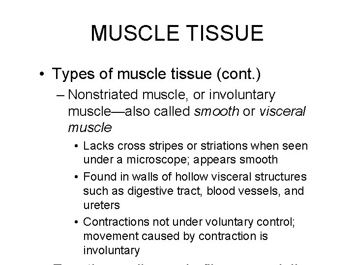 MUSCLE TISSUE • Types of muscle tissue (cont. ) – Nonstriated muscle, or involuntary