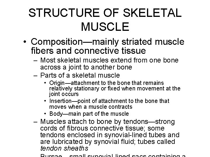 STRUCTURE OF SKELETAL MUSCLE • Composition—mainly striated muscle fibers and connective tissue – Most