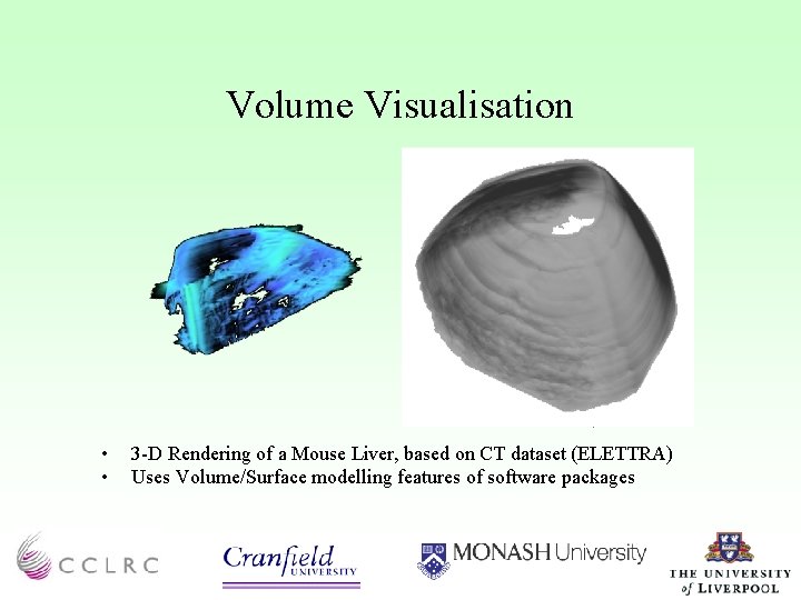 Volume Visualisation • • 3 -D Rendering of a Mouse Liver, based on CT