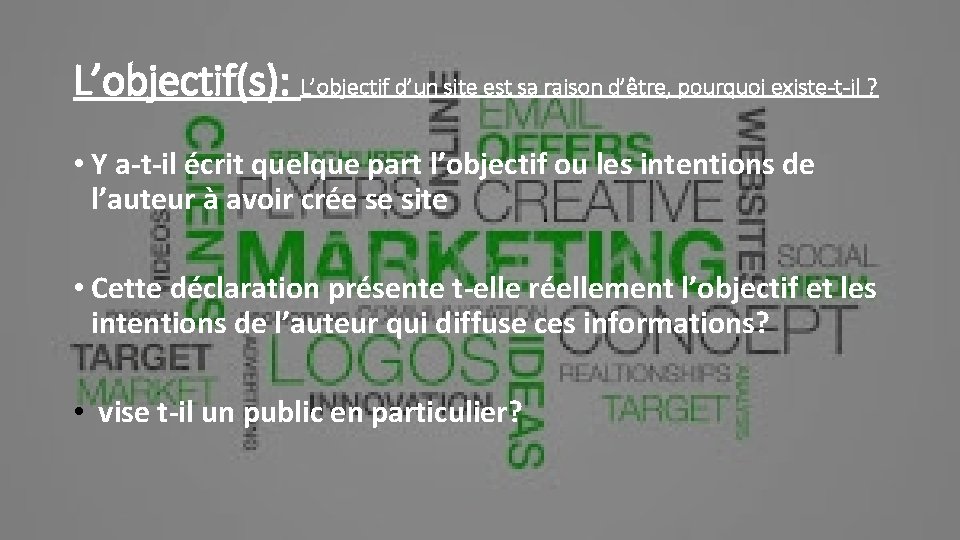 L’objectif(s): L’objectif d’un site est sa raison d’être, pourquoi existe-t-il ? • Y a-t-il