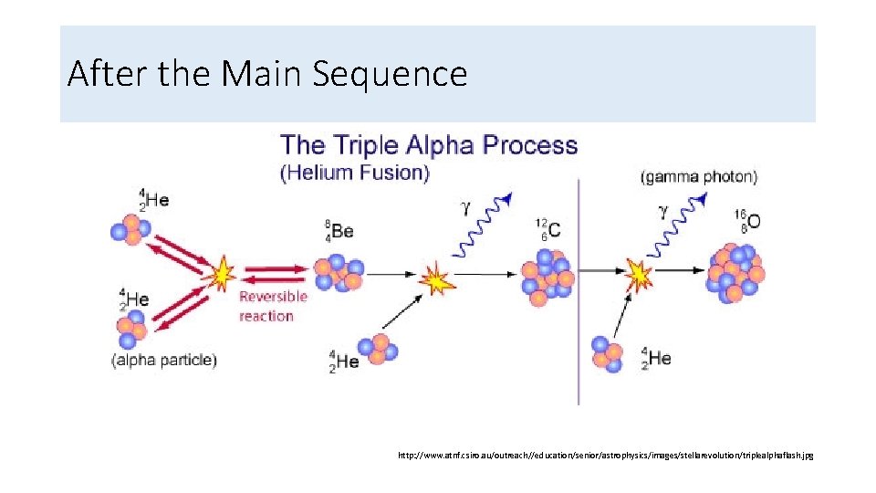 After the Main Sequence http: //www. atnf. csiro. au/outreach//education/senior/astrophysics/images/stellarevolution/triplealphaflash. jpg 