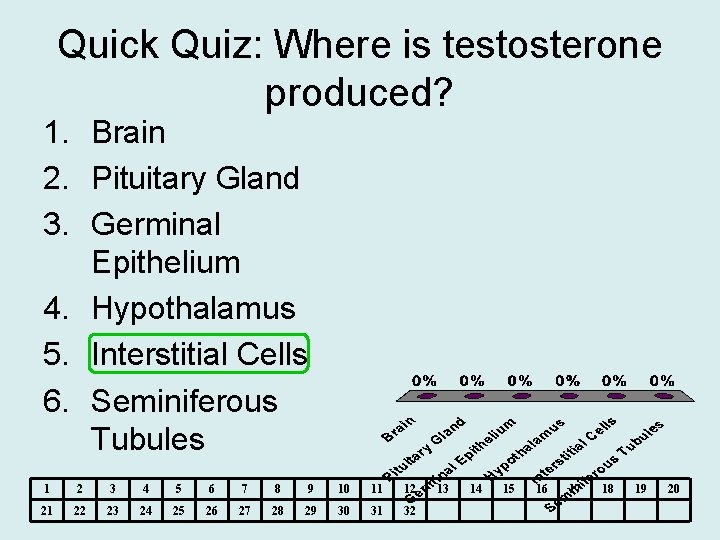 Quick Quiz: Where is testosterone produced? 1. Brain 2. Pituitary Gland 3. Germinal Epithelium