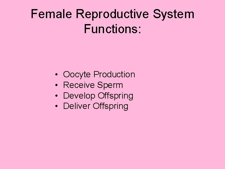 Female Reproductive System Functions: • • Oocyte Production Receive Sperm Develop Offspring Deliver Offspring