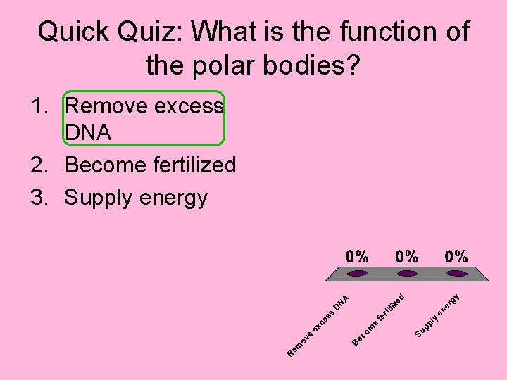 Quick Quiz: What is the function of the polar bodies? 1. Remove excess DNA