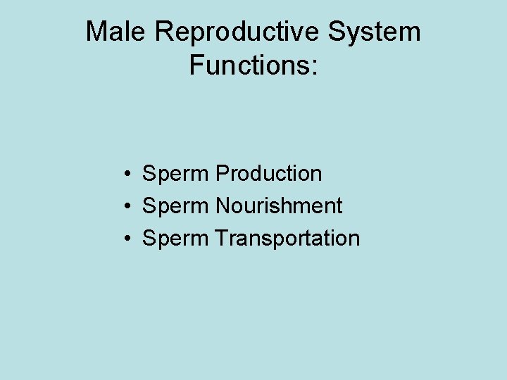 Male Reproductive System Functions: • Sperm Production • Sperm Nourishment • Sperm Transportation 