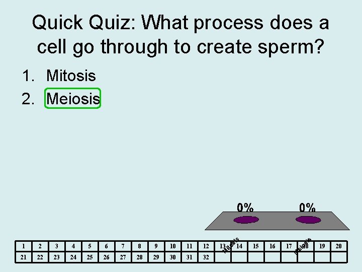 Quick Quiz: What process does a cell go through to create sperm? 1. Mitosis