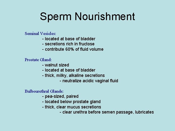 Sperm Nourishment Seminal Vesicles: - located at base of bladder - secretions rich in