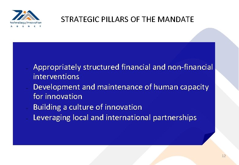 STRATEGIC PILLARS OF THE MANDATE Appropriately structured financial and non-financial interventions Development and maintenance
