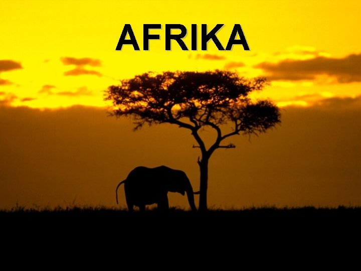 AFRIKA 