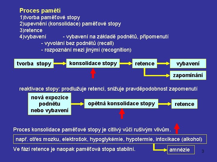 Proces paměti 1)tvorba paměťové stopy 2)upevnění (konsolidace) paměťové stopy 3)retence 4)vybavení - vybavení na