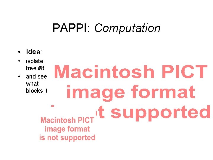 PAPPI: Computation • Idea: • isolate tree #8 • and see what blocks it