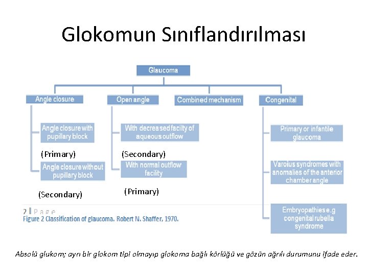 Glokomun Sınıflandırılması (Primary) (Secondary) (Primary) Absolü glukom; ayrı bir glokom tipi olmayıp glokoma bağlı