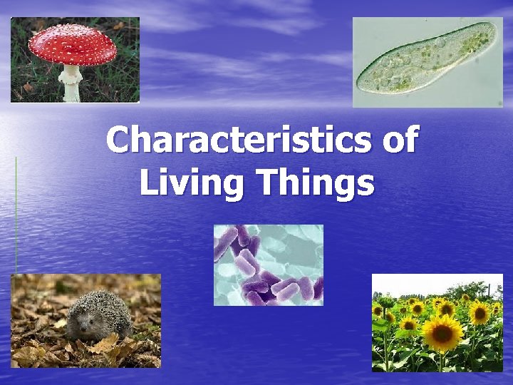 Characteristics of Living Things 