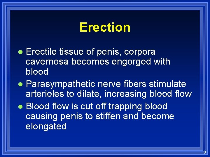 Erection Erectile tissue of penis, corpora cavernosa becomes engorged with blood l Parasympathetic nerve
