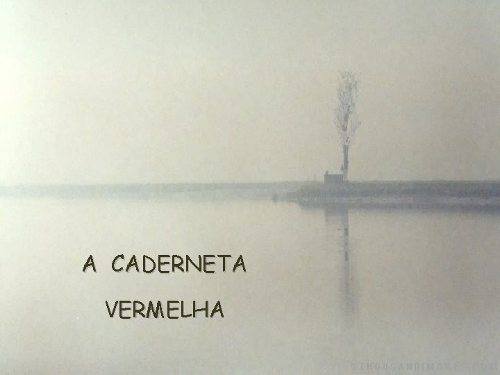 A CADERNETA VERMELHA 