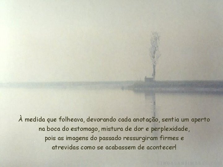 À medida que folheava, devorando cada anotação, sentia um aperto na boca do estomago,