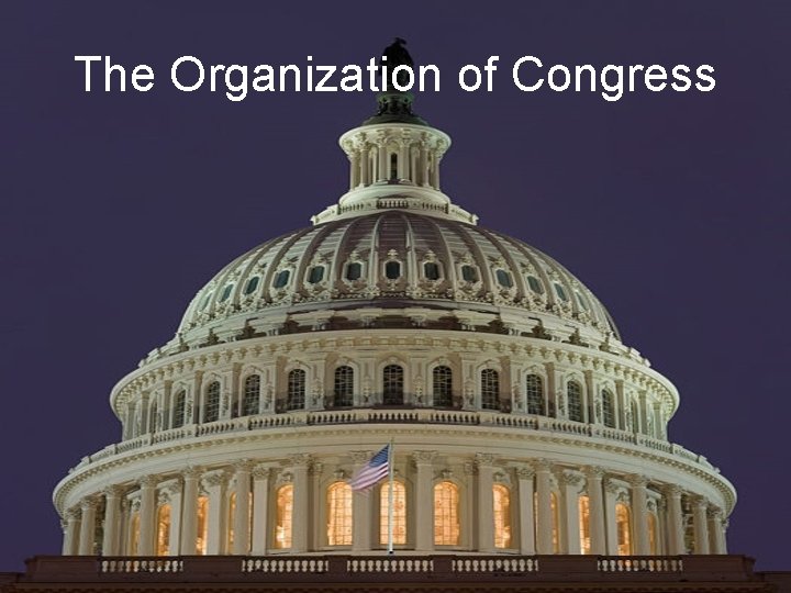 The Organization of Congress 