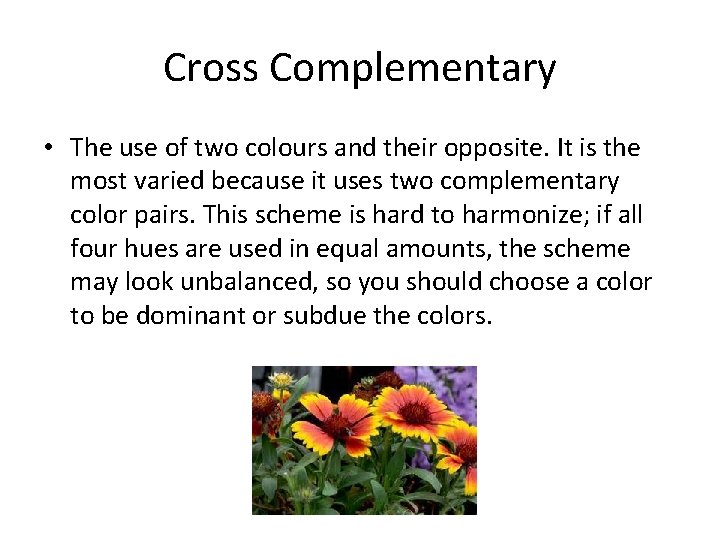 Cross Complementary • The use of two colours and their opposite. It is the Cross Complementary • The use of two colours and their opposite. It is the
