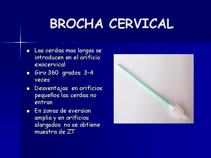 BROCHA CERVICAL n n Las cerdas mas largas se introducen en el orificio exocervical