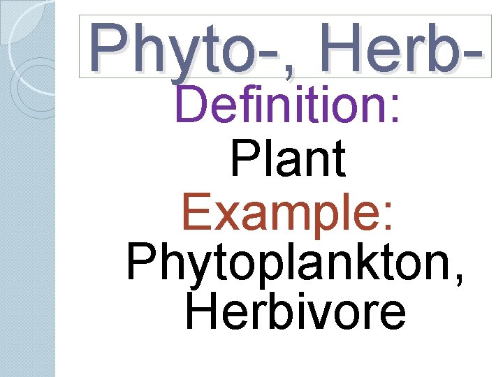 Phyto-, Herb. Definition: Plant Example: Phytoplankton, Herbivore Phyto-, Herb. Definition: Plant Example: Phytoplankton, Herbivore
