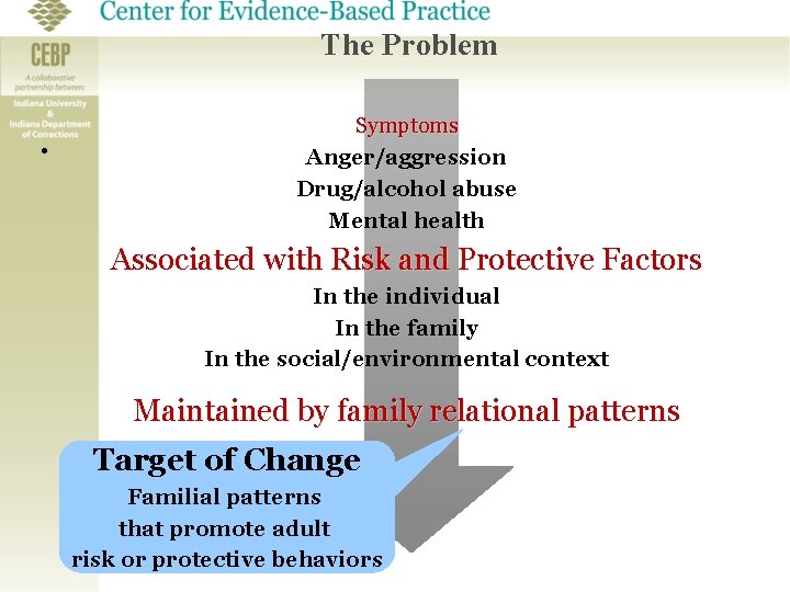 The Problem • Symptoms Anger/aggression Drug/alcohol abuse Mental health Associated with Risk and Protective