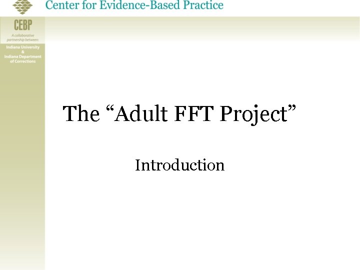 The “Adult FFT Project” Introduction 