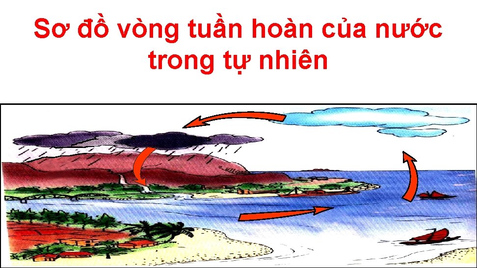 Sơ đồ vòng tuần hoàn của nước trong tự nhiên 