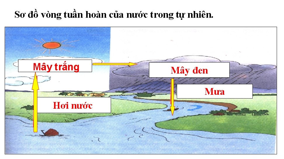 Sơ đồ vòng tuần hoàn của nước trong tự nhiên. Mây trắng Mây đen